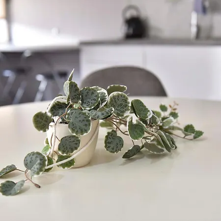 Beira Mar Loft Apartament